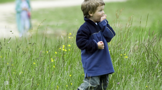 boy-in-field-1251231