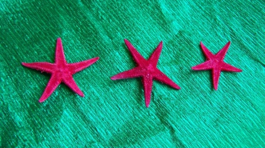 starfish-1191158
