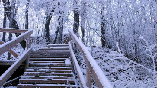 winter-2