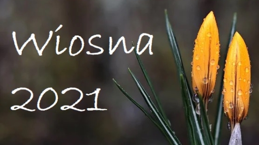 wstpniak-22.03.2021