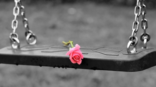 pink-rose-3656894_1280