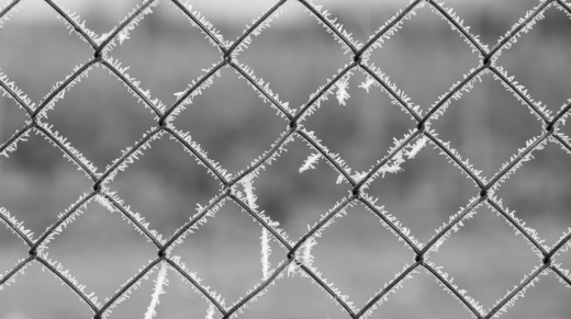 fence-8500152_1280