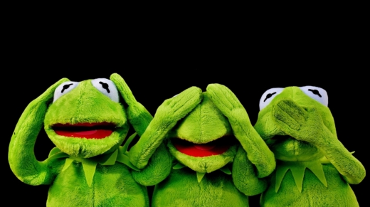 alexas_fotos-kermit-2687975_1920
