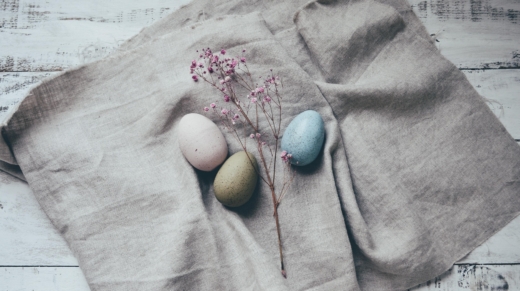 hudsoncrafted-eggs-7100211_1920