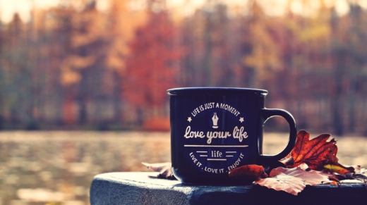 noname_13-fall-4656877